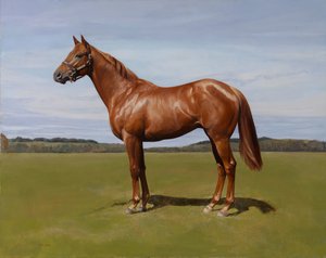 Colt, 2011